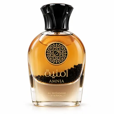 PERFUME UNISSEX ARABE AMNIA EDP 100ML